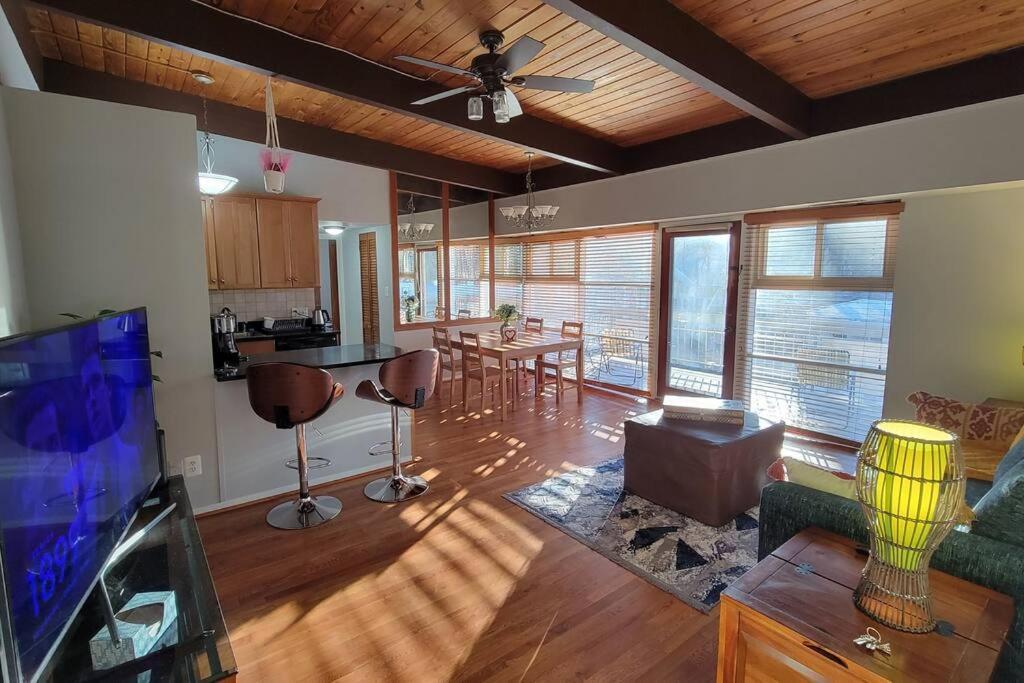Entire One Bedroom Apartment Annandale Bagian luar foto
