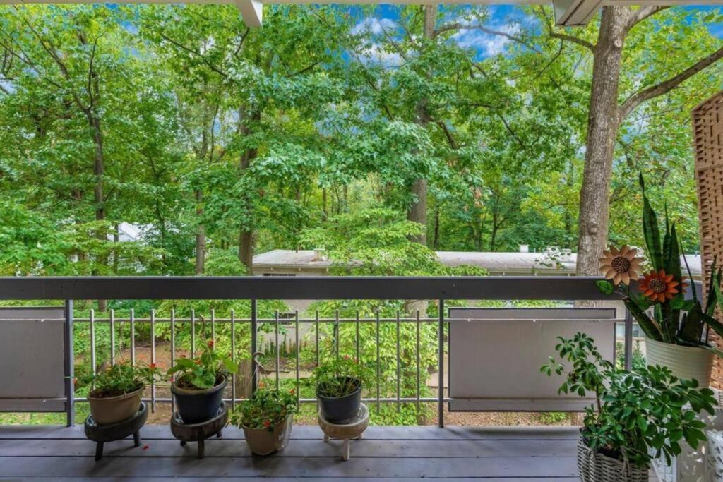 Entire One Bedroom Apartment Annandale Bagian luar foto