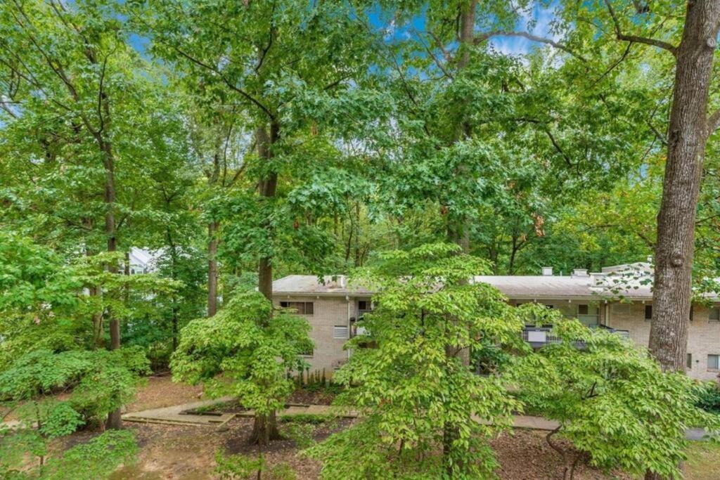 Entire One Bedroom Apartment Annandale Bagian luar foto