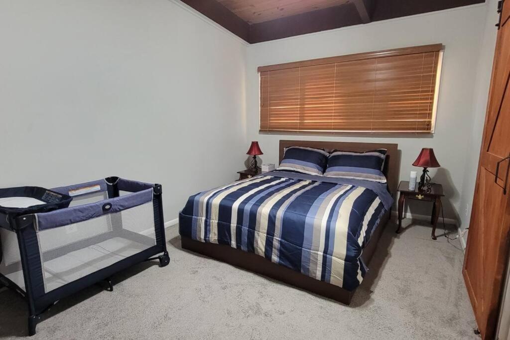 Entire One Bedroom Apartment Annandale Bagian luar foto