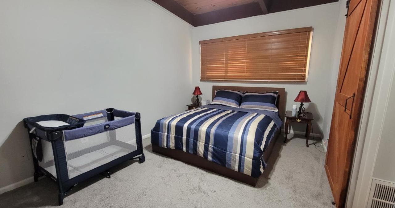 Entire One Bedroom Apartment Annandale Bagian luar foto