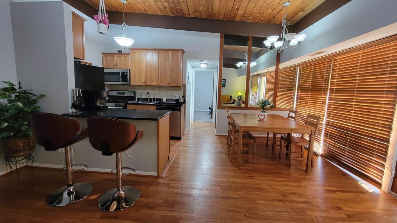 Entire One Bedroom Apartment Annandale Bagian luar foto