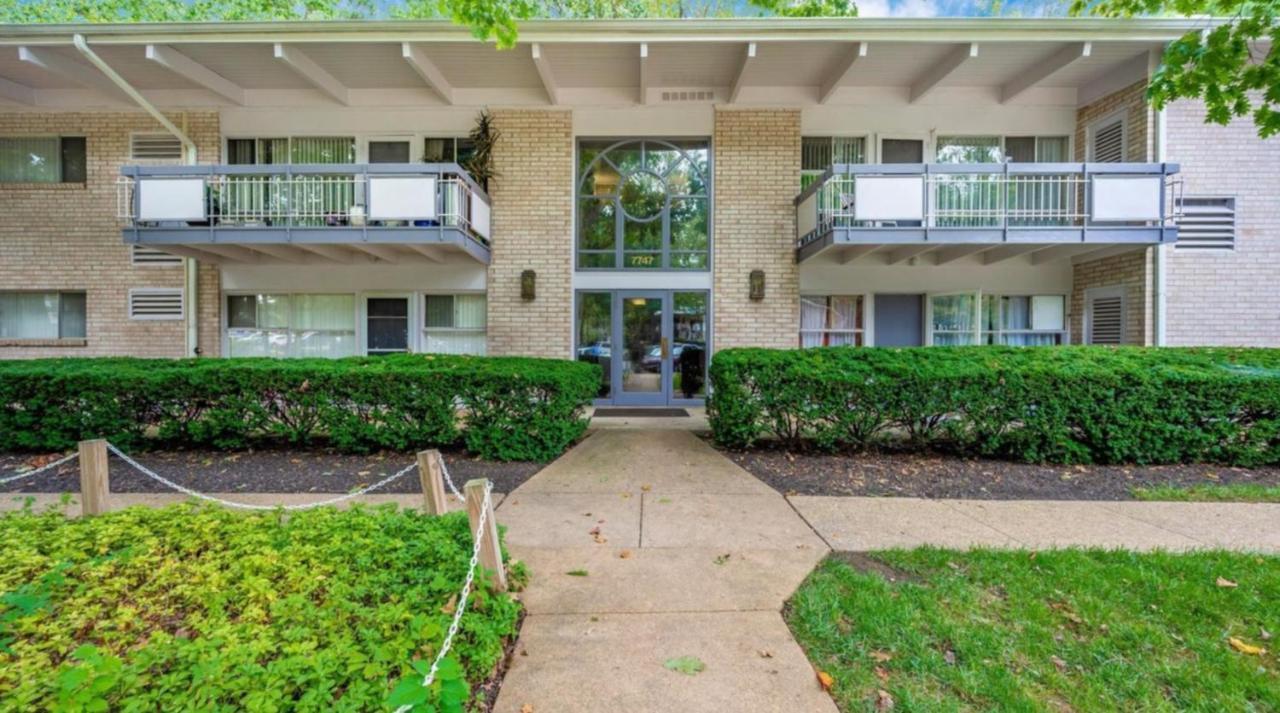 Entire One Bedroom Apartment Annandale Bagian luar foto
